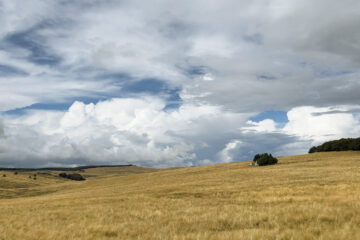 Buron perdu en dans les monts de l'Aubrac