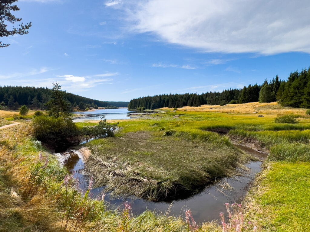 Lac de Charpal en Margeride