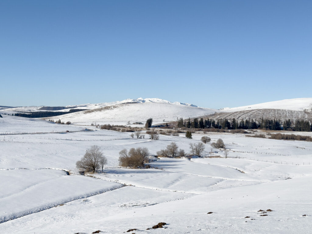 Paysage du plateau du Cézallier