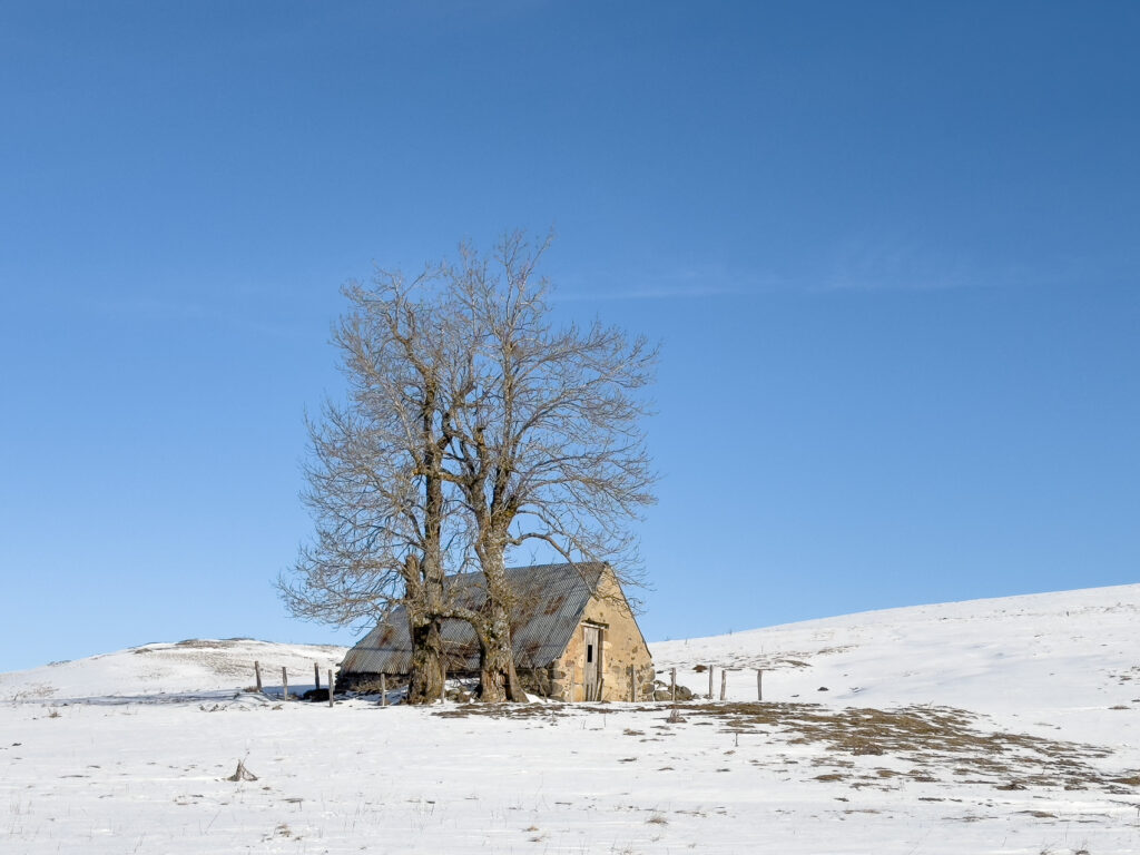 Plateau du Cézallier - Maison isolée