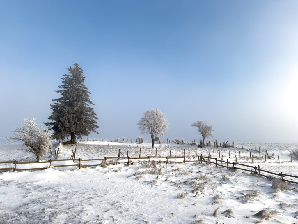 Plateau du Cézallier - Sous la neige